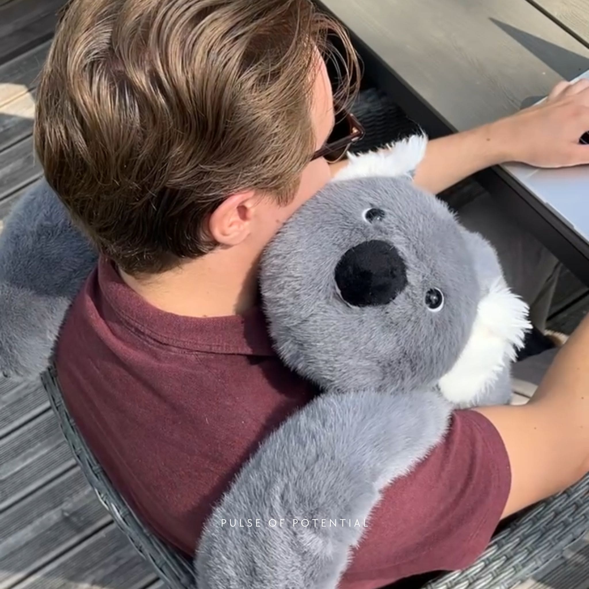 Koko the Koala Weighted Animal