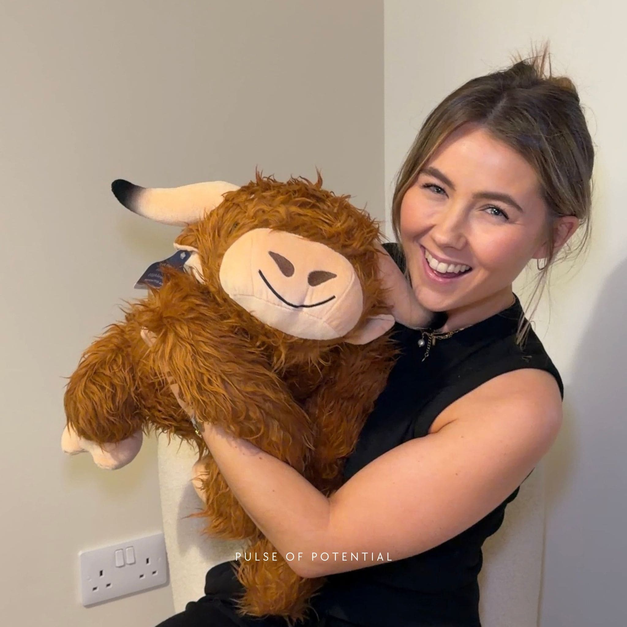 Hallie the Highland Cow Weighted Animal