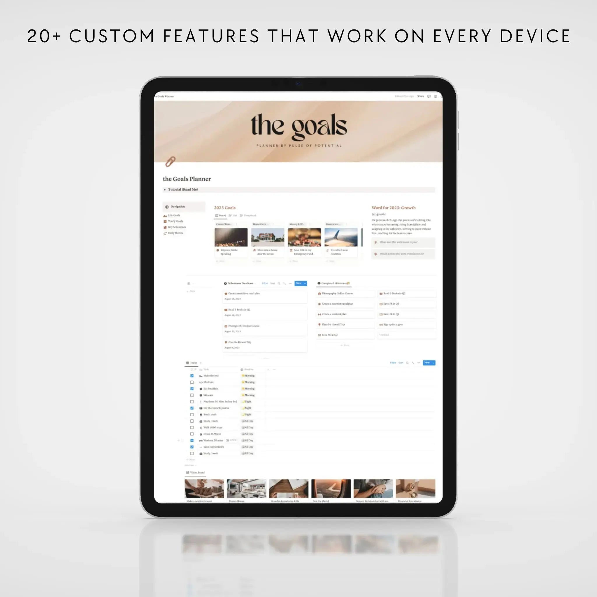 Free Gift: 2025 Goals Planner ($24)