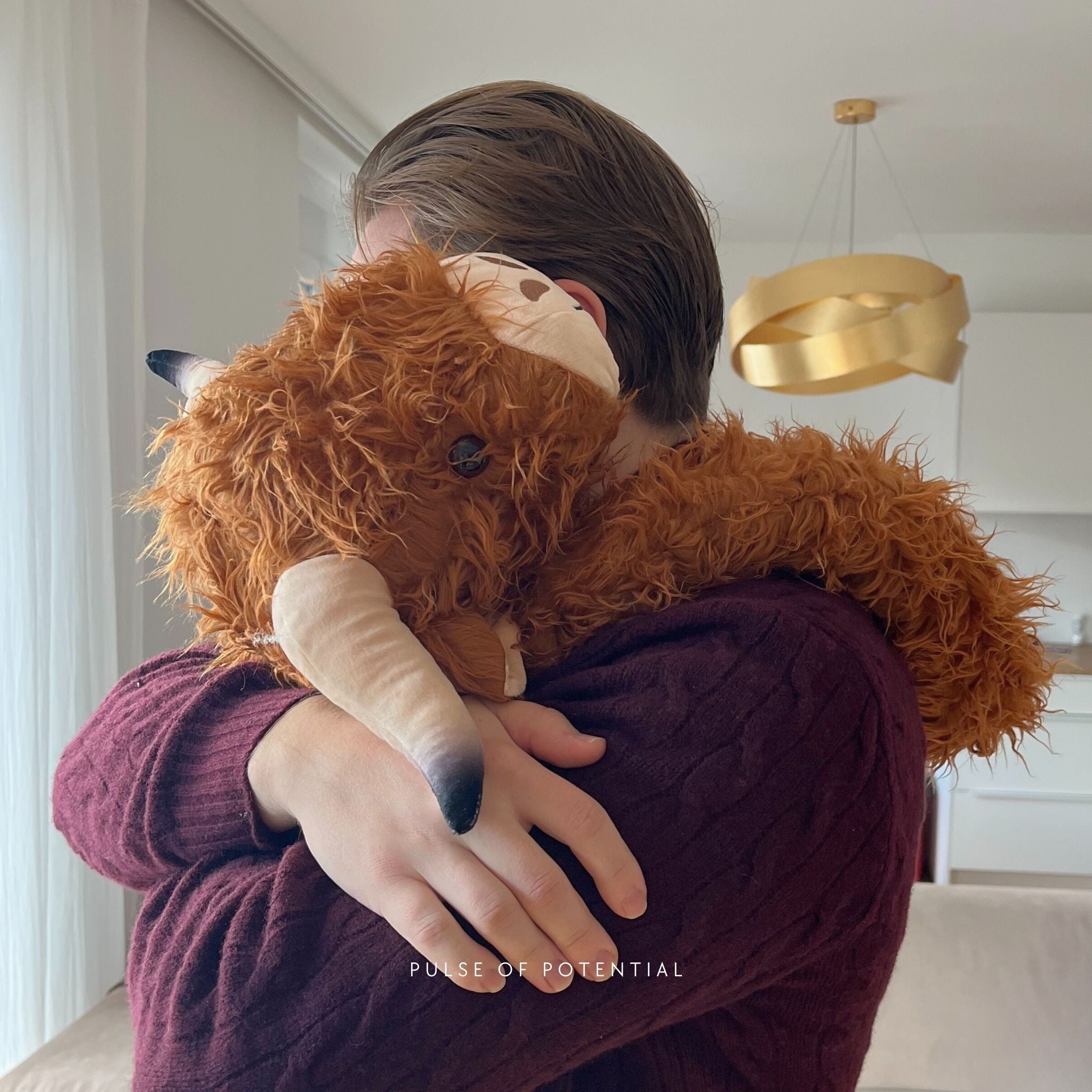 Hallie the Highland Cow Weighted Animal