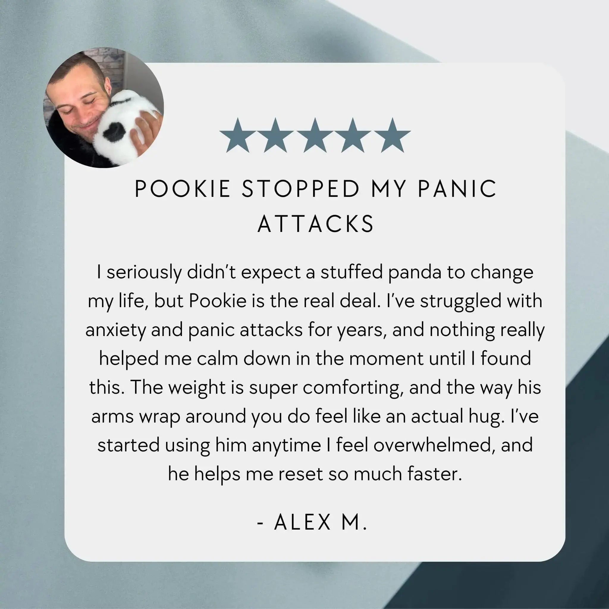 Pookie the Panda Weighted Animal