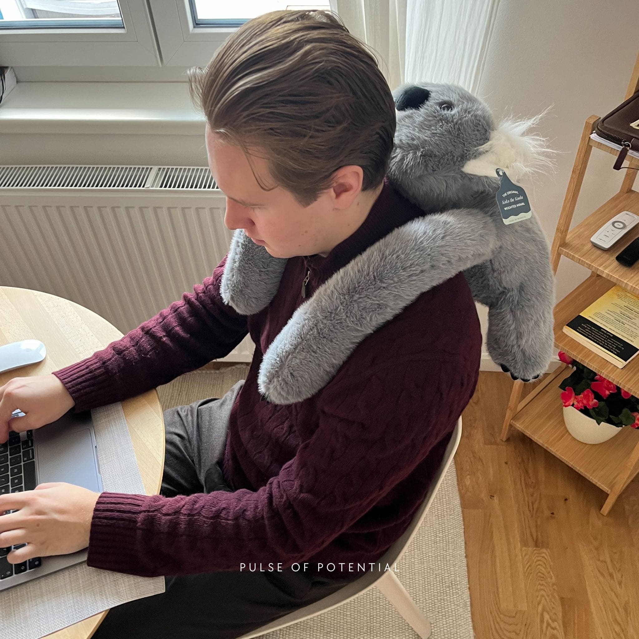 Koko the Koala Weighted Animal