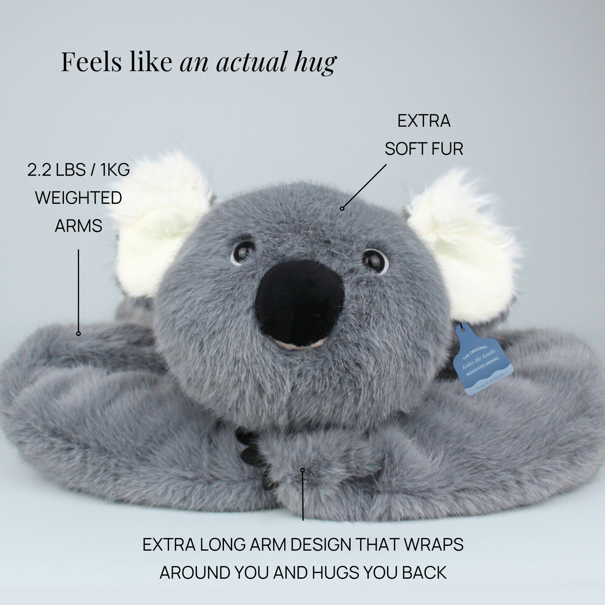 Koko the Koala Weighted Animal