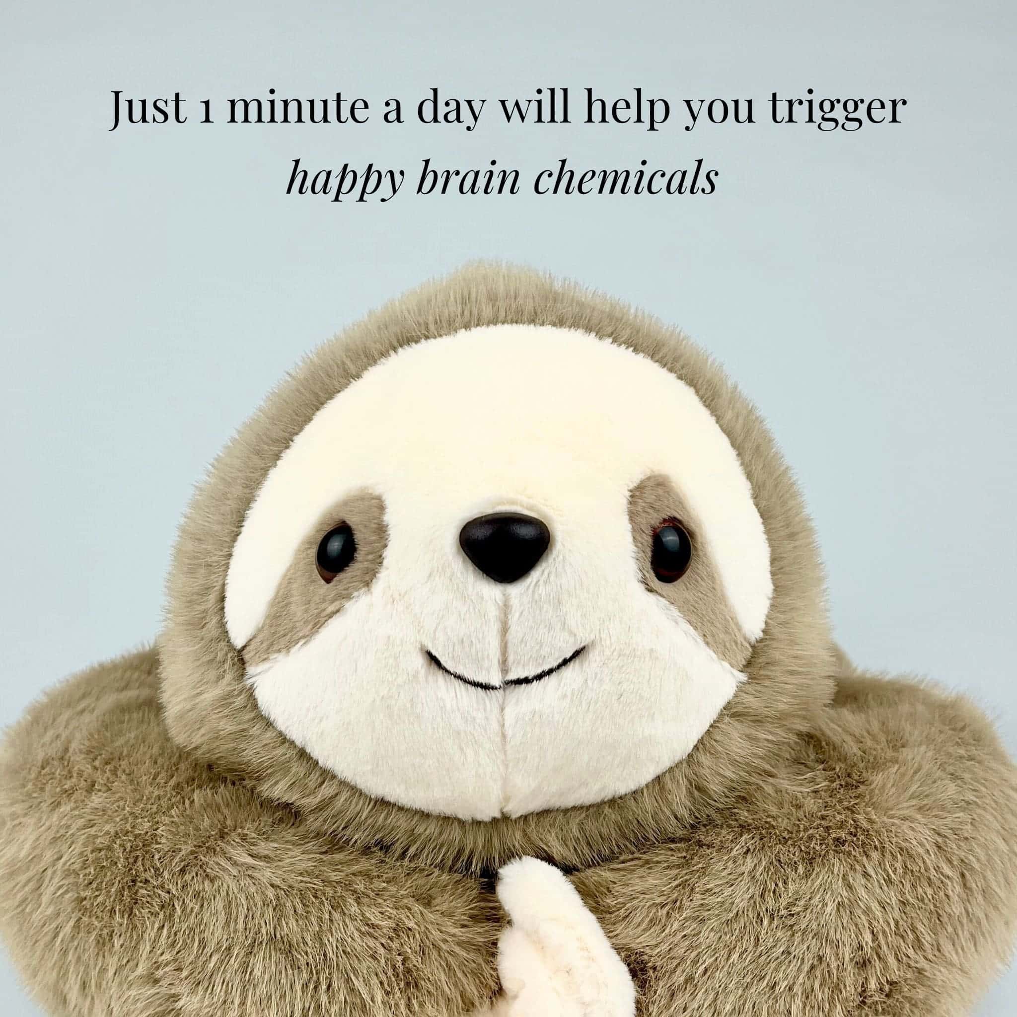 Sunnie the Sloth Weighted Animal