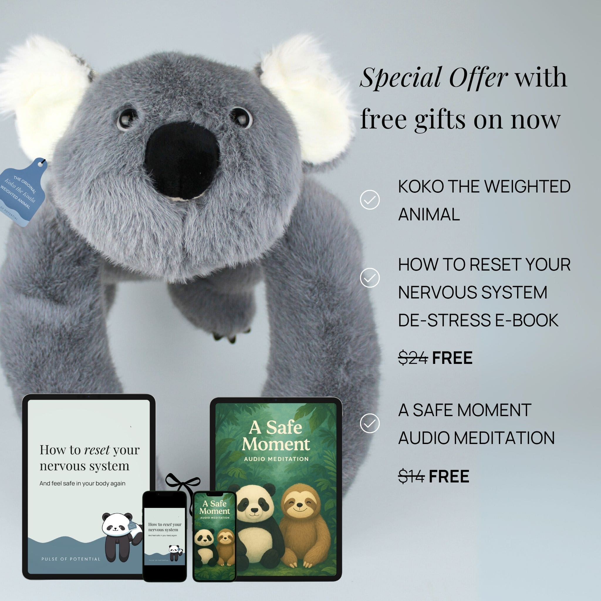 Koko the Koala Weighted Animal