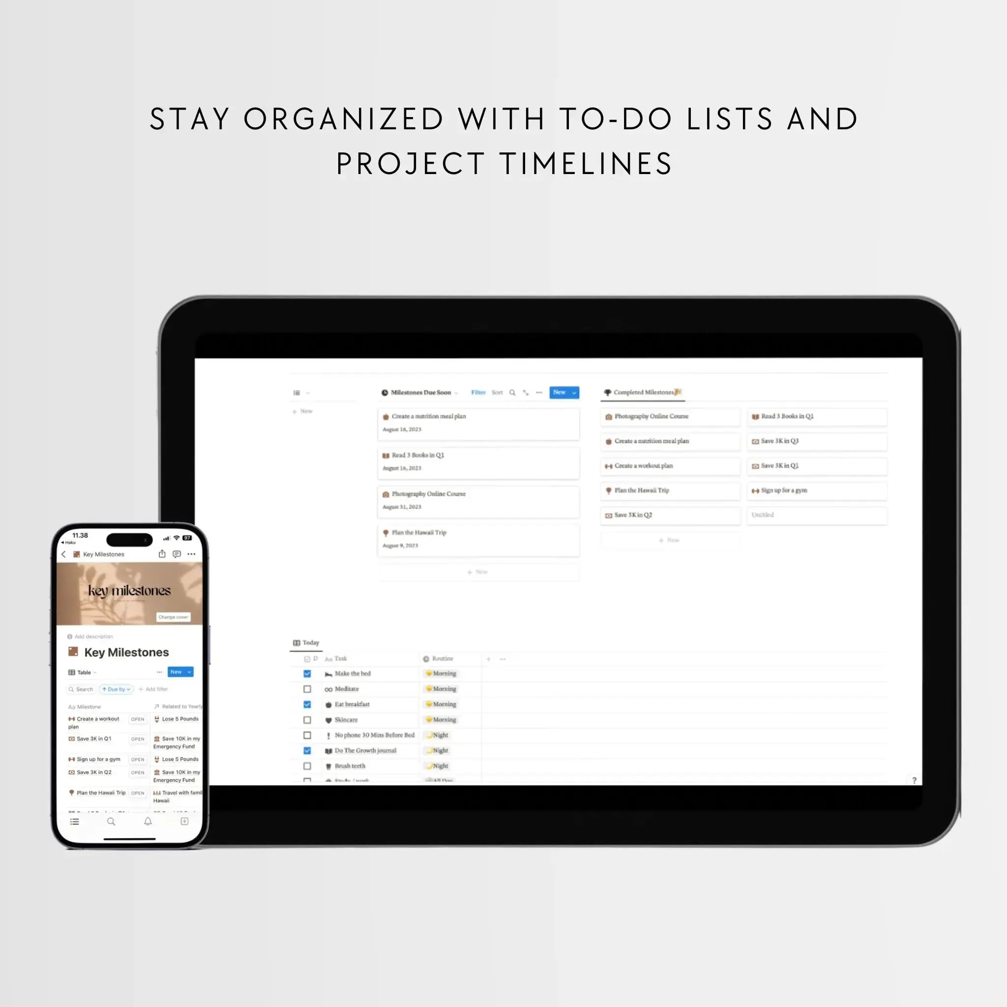 Free Gift: 2025 Goals Planner ($24)