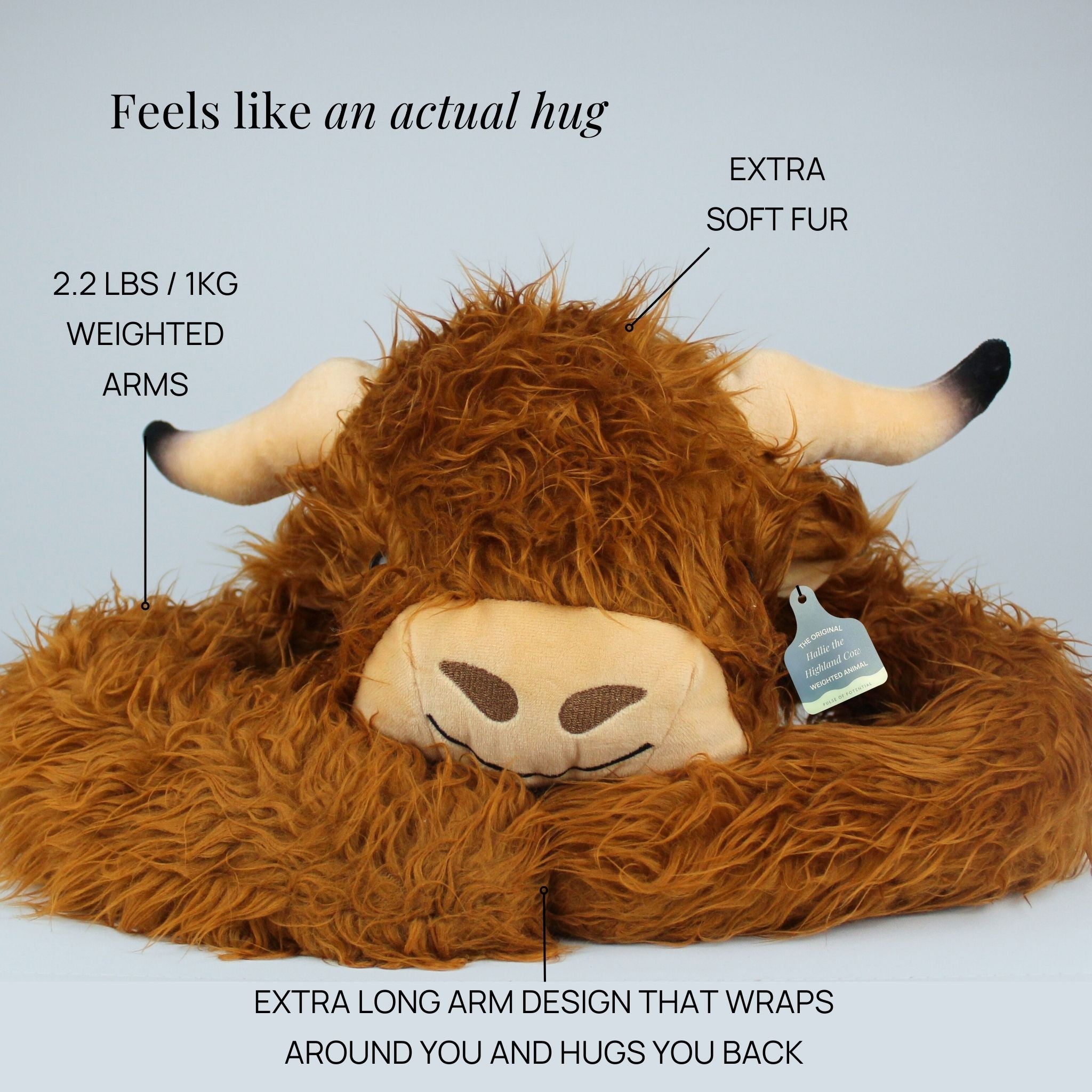 Hallie the Highland Cow Weighted Animal